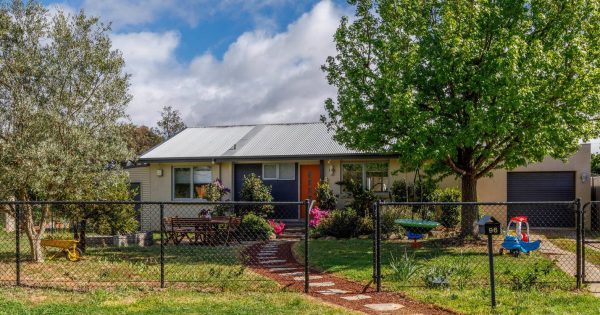 Auction results 6 - 12 November 2023