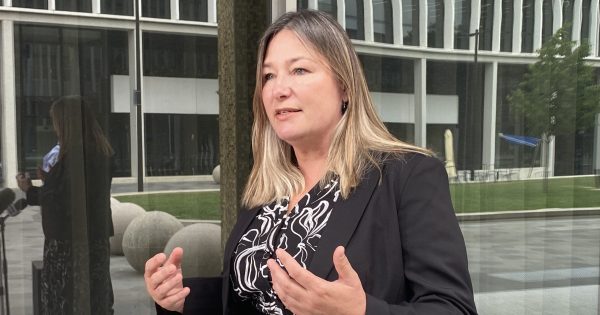 Inquiry to be launched into 'missed opportunities' surrounding ACT Greens' handling of Davis allegations