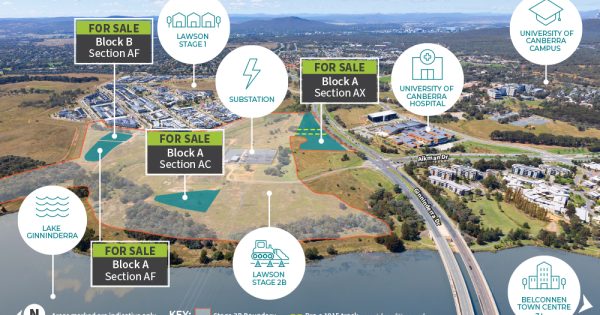 Four more Lawson blocks released for auction