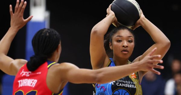 'I will fight for this team' – first WNBL Japanese national vows to bring her A game to the UC Caps