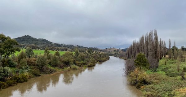 All Canberra swimming spots reopen in time for Australia Day long weekend - except one