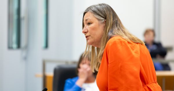Education Minister insists specialist schools for students with disability are safe from closure