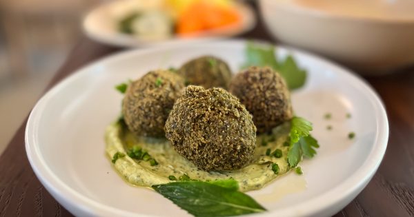 Transport yourself with a meal at Med