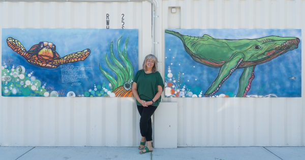 Artworks make splash at Woden interchange
