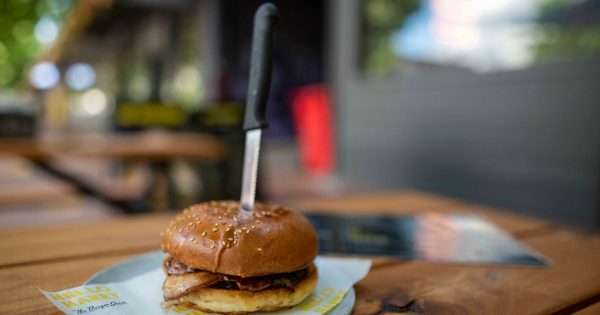 Hello Harry = hello to big, beautiful burgers and happy tastebuds!