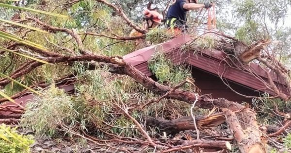 Storm-impacted suburbs to receive extra green waste collection