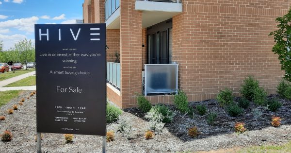 In a flat market, Molonglo Valley stood out in 2023