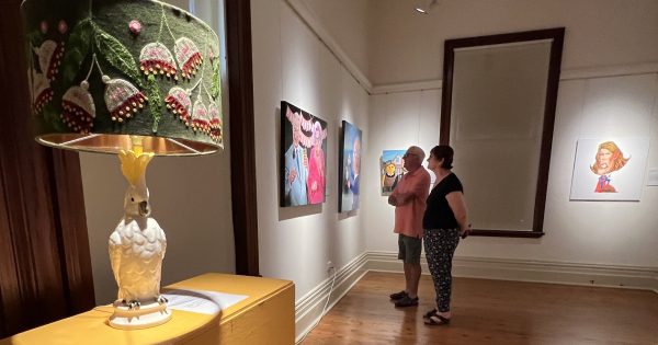 Maude the Cockatoo calls on artists to 'poke fun at power' and enter the 2024 Bald Archy Prize
