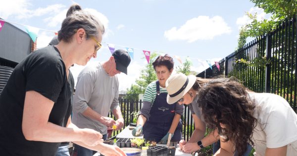 'You need to start planning earlier': Fiona Buining to teach Canberrans to grow food year round at SLA workshops