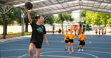 Confusion over eligibility criteria, 'communication issues' limiting community sport access