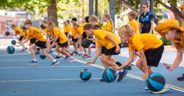 Basketball in Canberra is grappling with the challenge of popularity