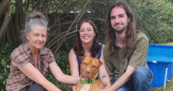 Dog-gone-it! After 328 days in the pound, Rocky's riding high - on his new owner's bed