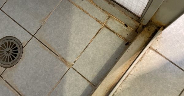 Get into the groove with squeaky clean end-of-lease tips for tenants