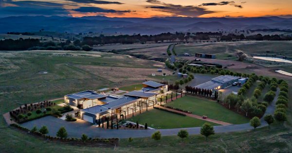 Palm Springs-inspired oasis with room to roam in the Yass Valley