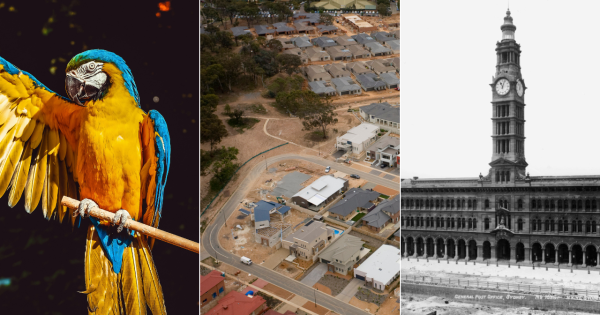 QUIZ: How many homes are there in Canberra? Plus 9 other questions this week