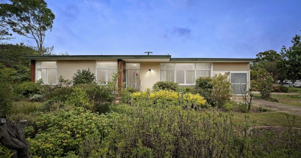 Auction results 11 - 17 March 2024
