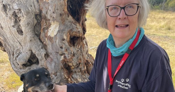DAS volunteer devotes 20 years to caring for dogs