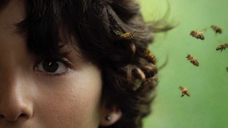 Close up of a person's face with bees flying around it