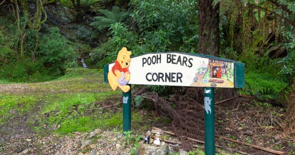 Pooh Bear's Corner tradition bridges gap between home and holiday, study finds