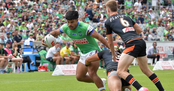 Pocock says 'too broad' national capital report ignores evidence on city stadium