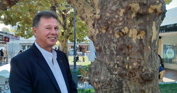 AFP officer Mick Calatzis fills Liberal vacancy in Kurrajong team as Nockles eyes Senate