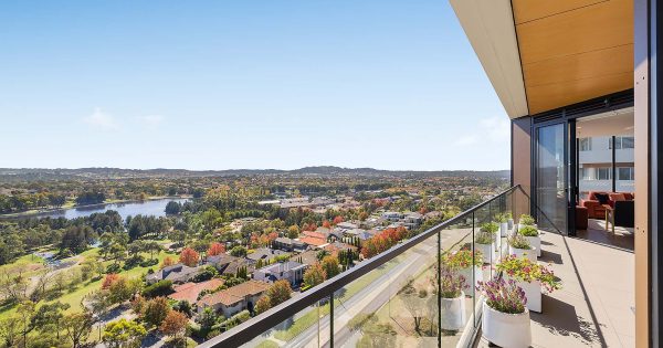 Penthouse apartment takes city living to a new height