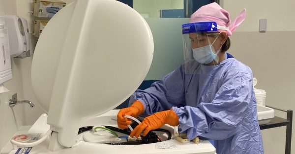 New 'Rolls-Royce' endoscopy suite at North Canberra Hospital to help tackle surgery backlog