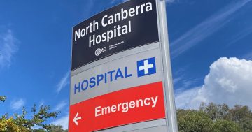 North Canberra Hospital still covered by cardiologists despite recent resignations