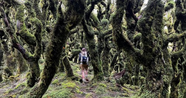 Canberra’s Tom Bartlett and Maddie Wait set an official record for walking from the top to the bottom of New Zealand