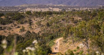 Conservation Council launches campaign to preserve Western Edge