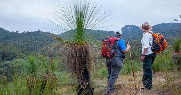 New temporary Visitor Centre opens doors at Tidbinbilla Nature Reserve