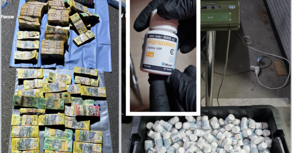 722 kg of Xanax seized; man arrested in Wagga Wagga