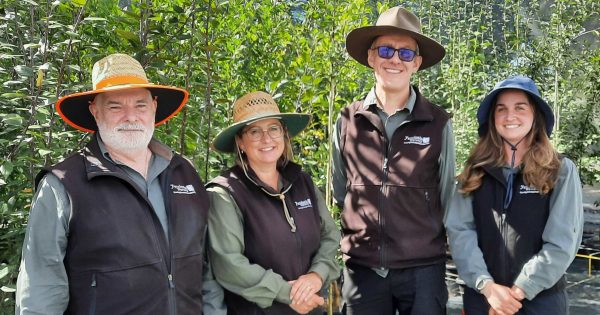 The 110-year-old Yarralumla haven that delivers Canberra's green shield