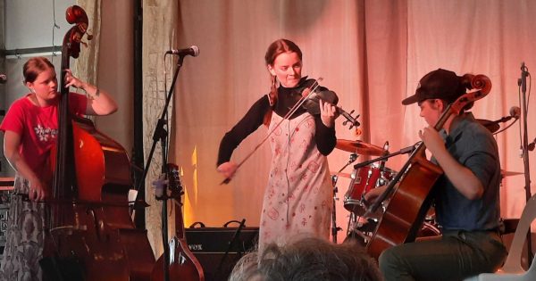 National Folk Festival looks to leaner event after horror financial result for 2024
