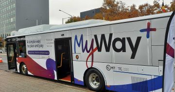 What Transport Canberra is doing to fix MyWay+