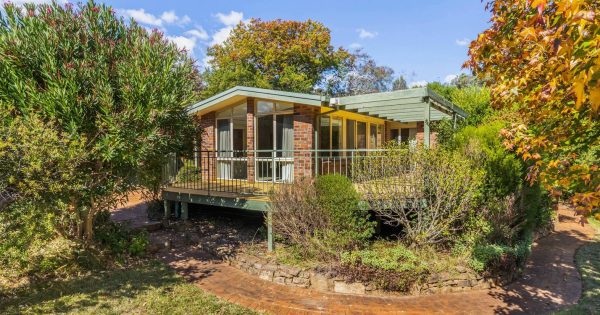 Auction results 6 - 12 May 2024