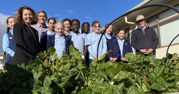 Transform neglected patches of land into community spaces through garden grants