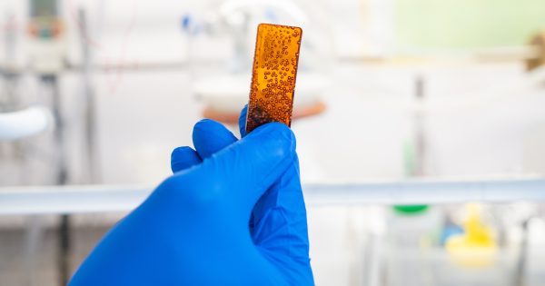 Canberra innovator turns natural waste products into useful home compostable items