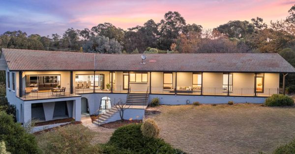 Auction results 10 - 16 June 2024