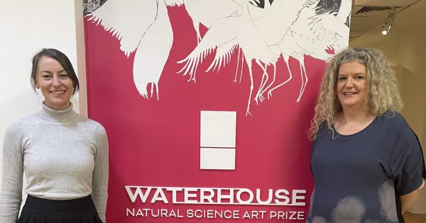 Waterhouse prizewinners draw on Indigenous past and climate crisis future for their art