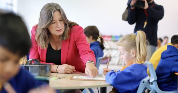 Enrolment figures a warning to government to fix public schools