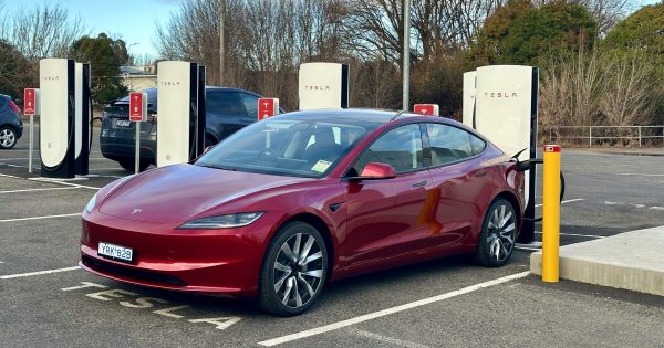 New EV sales continued to climb to record heights in 2024