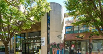Declining libraries on borrowed time without government lifeline