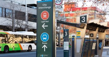 'Privilege' song and dance over old light rail documents a frustrating distraction