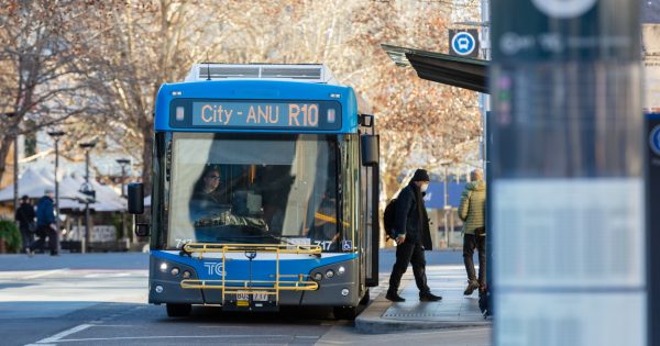 Labor hopes fare-free Fridays are just the ticket to get more Canberrans on public transport