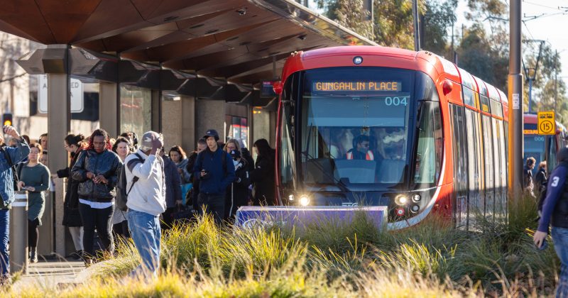 No valid 'claims of privilege' found for health expenditure, light rail costings documents