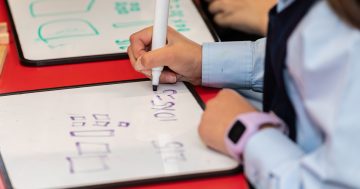 Casual, temporary public school staff have jobs assured for 2026