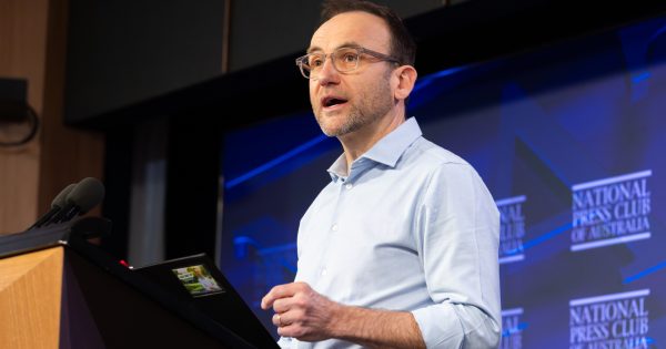 Former Greens leader to head up Australian Conservation Foundation