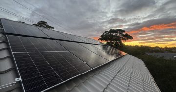 Rooftop solar and batteries to slash power bills for social housing tenants
