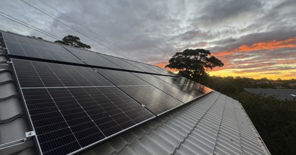 Rooftop solar and batteries to slash power bills for social housing tenants